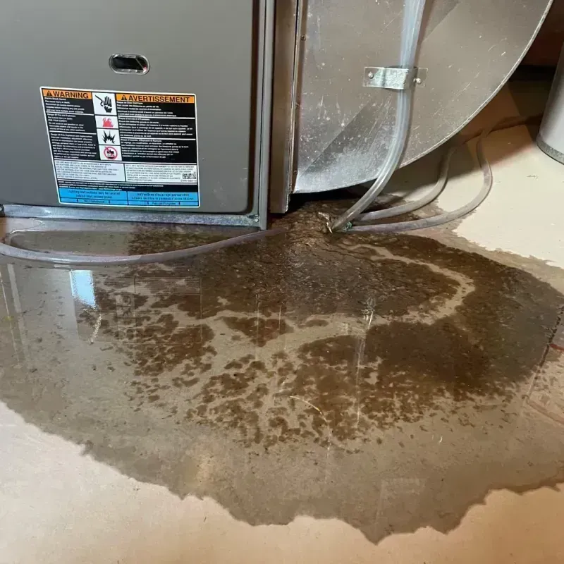 Appliance Leak Cleanup in Warrensburg, IL